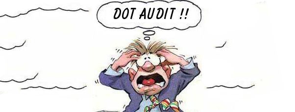 DOT audit